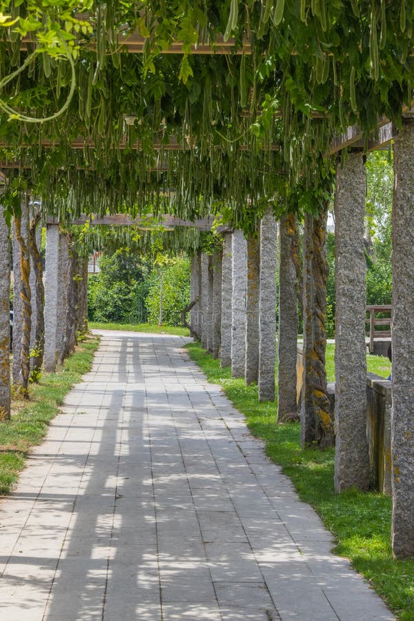 Urban park walk in monforte de lemos, lugo, Spain