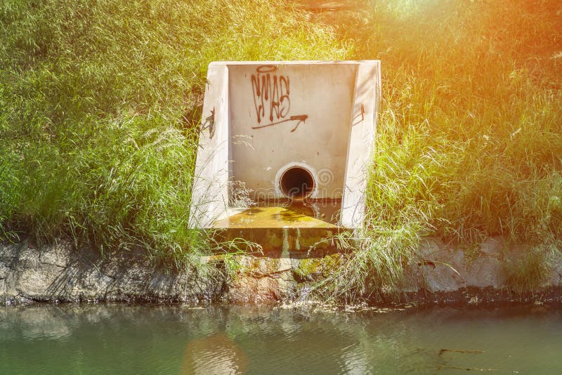 Urban sewerage, dirty green water, ecological disaster, unclean lake royalty free stock photo Urban sewerage, dirty green water, ecological disaster, unclean lake royalty free stock photo