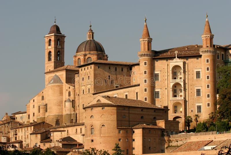 Urbino