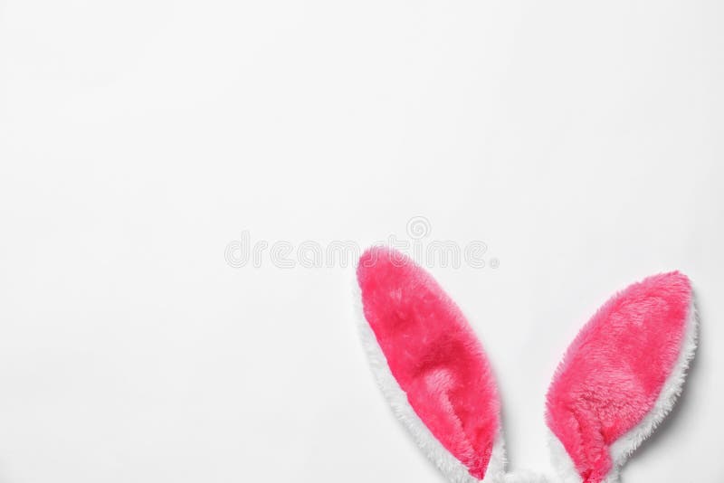Urechi amuzante de iepure de Paști pe fond alb royalty free stock image