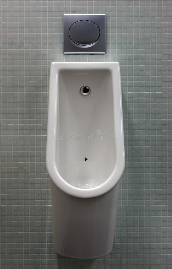 Urinal with white painted a fly on the toilet