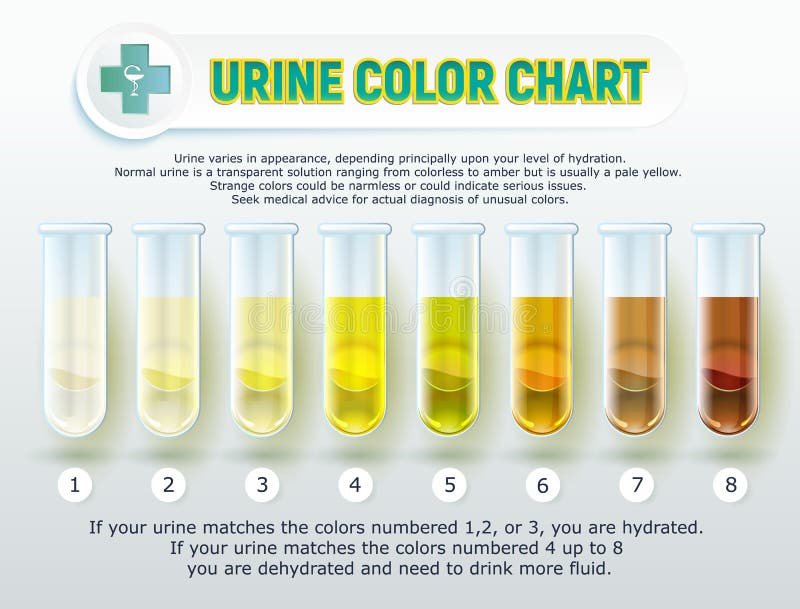 Urine Test Strips Color Chart