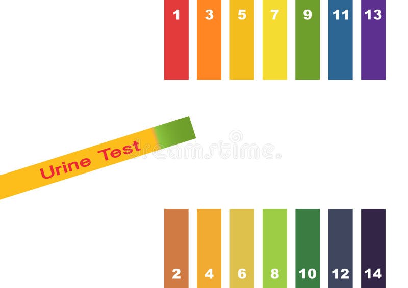 Urinetest De reageerbuis van de handholding met pH indicator die kleur vergelijken bij schaal en lakmoesstroken voor meting van z stock illustratie Urinetest De reageerbuis van de handholding met pH indicator die kleur vergelijken bij schaal en lakmoesstroken voor meting van z stock illustratie