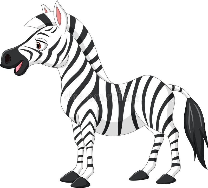 Urocza zebra samotna na białym tle ilustracji