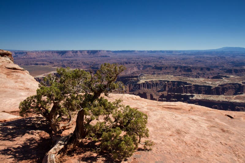 Uroczysty widoku punkt, Canyonlands zdjęcie stock