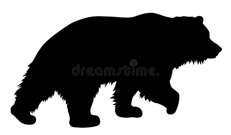 Urso ilustração do vetor