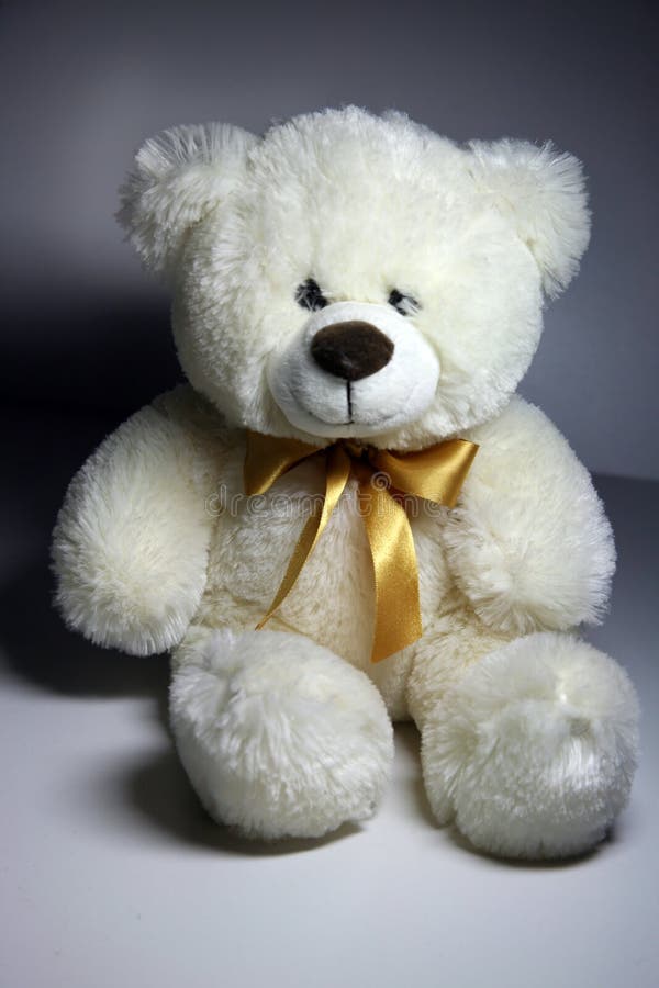 Urso branco imagens de stock Urso branco imagens de stock