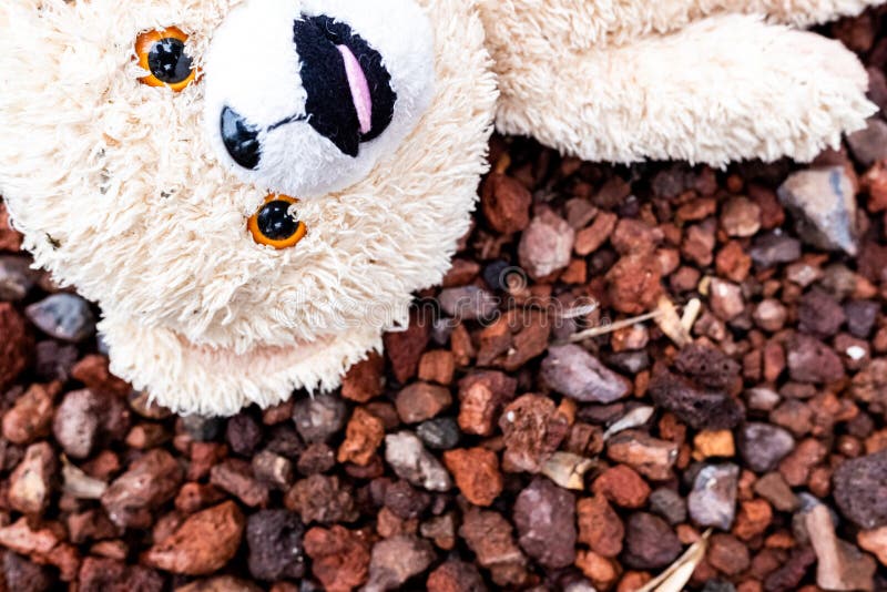 Urso De Pelúcia Deitado No Chão, Sujo E Molhado, Abandonado Por Uma Criança  Foto de Stock - Imagem de desolado, abandonado: 167076408