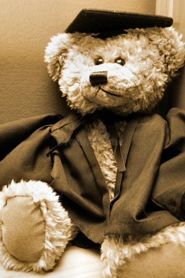 A university graduation teddy bear. A university graduation teddy bear