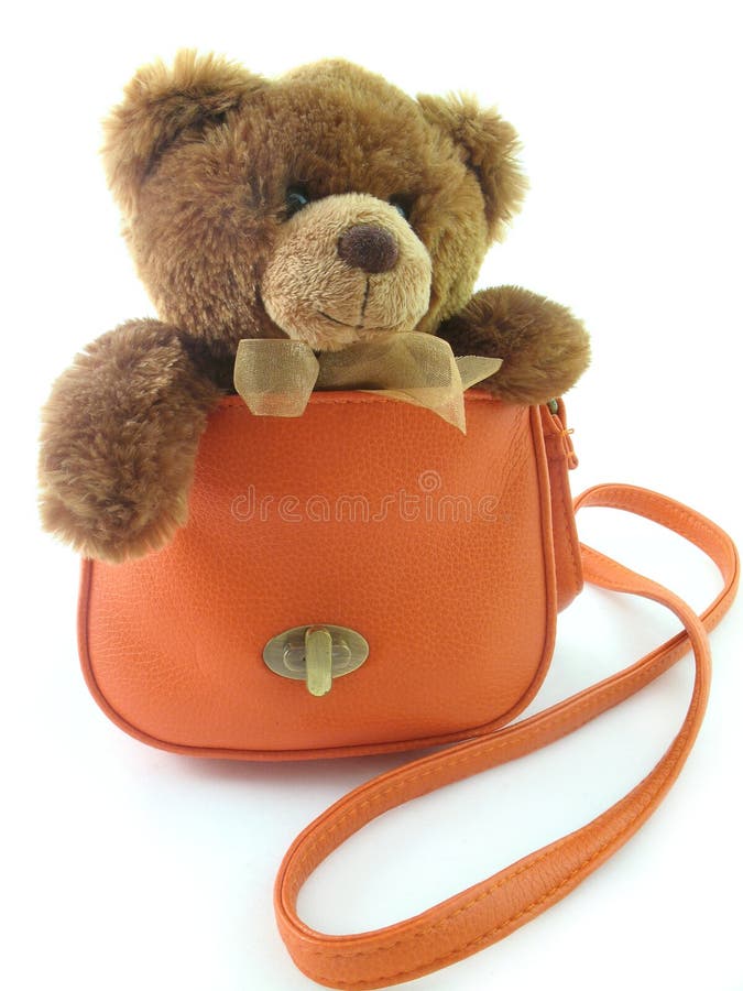 Urso da peluche em um saco foto de stock Urso da peluche em um saco foto de stock