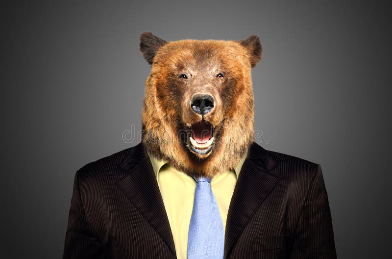 Urso em um terno de negócio foto de stock Urso em um terno de negócio foto de stock