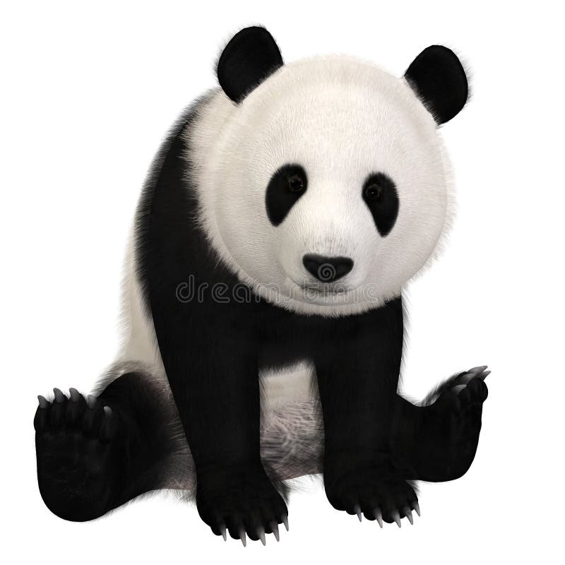 30.900+ Urso Panda Desenho fotos de stock, imagens e fotos royalty-free -  iStock