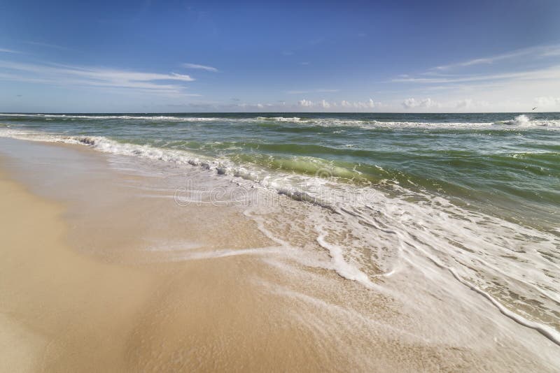Ursprünglicher Florida-Strand keine Leute lizenzfreies stockbild Ursprünglicher Florida-Strand keine Leute lizenzfreies stockbild
