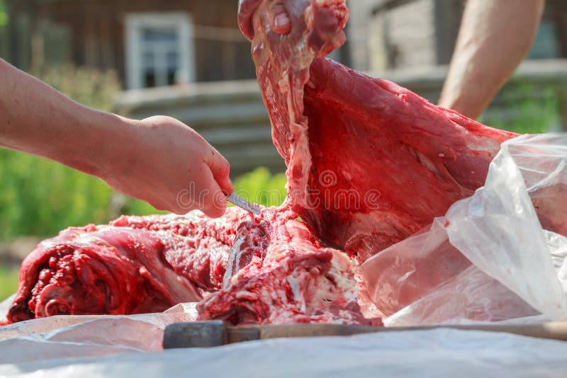 Ursprünglicher Schnitt der jungen Lammkarkasse mit Metzgermesser stockfotos Ursprünglicher Schnitt der jungen Lammkarkasse mit Metzgermesser stockfotos