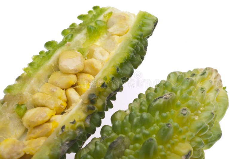 Uruială de pepene galben amar royalty free stock image