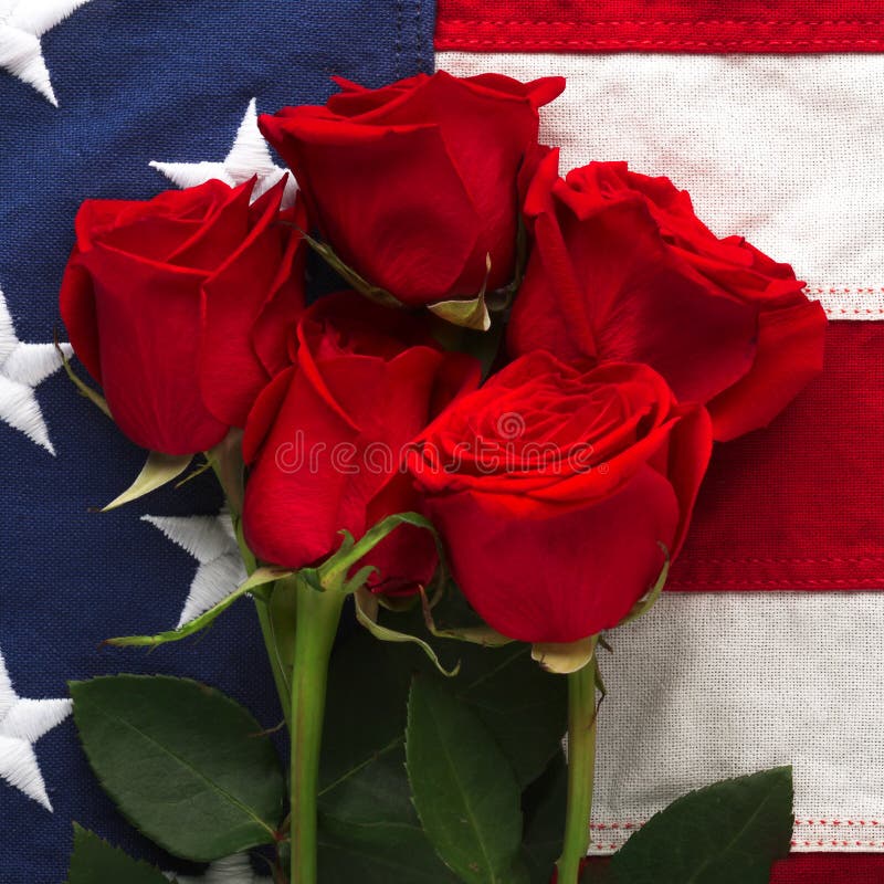 US American Flag with Roses Stock Photo Image of funeral, states