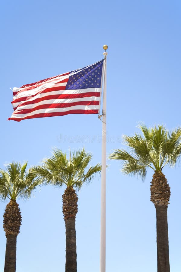US Flag and Palm Trees stock image. Image of july, banner 2821397