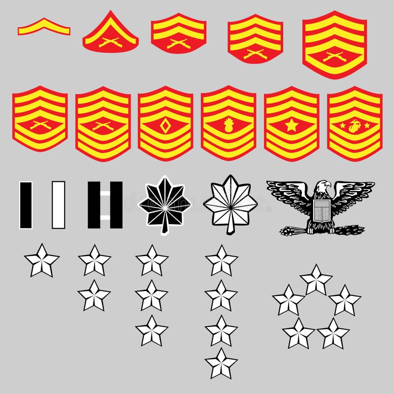 Us Military National Aircraft Star Roundels Isolated Vector