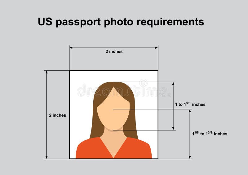 US Passport photo requirements. Standard of correct photo for identity documents in United States. Vector illustration