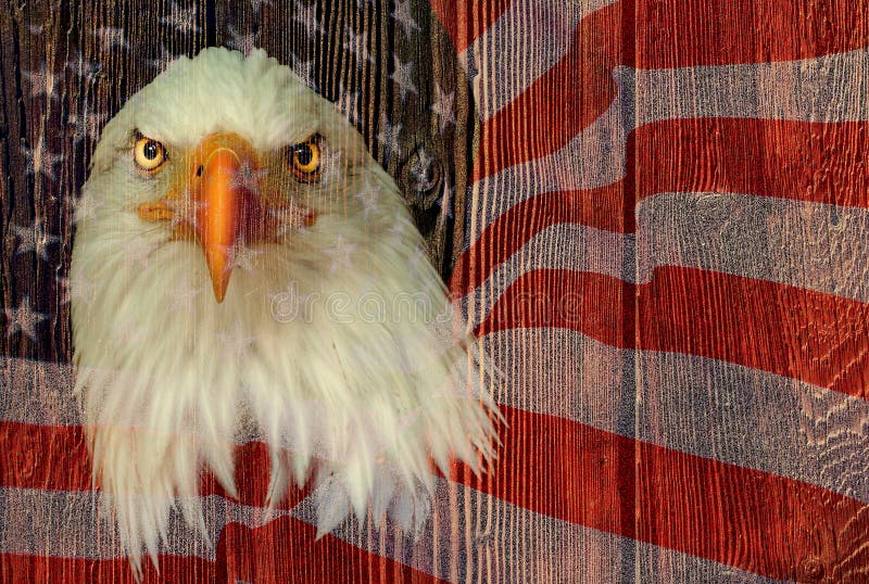 USA eagle with american flag and wooden texture. Verry popular symbol for american national.