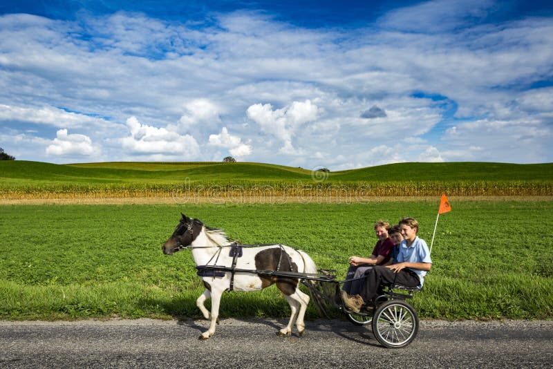 Buggy in Ohio S Amish Country Editorial Photo Image of rides, light