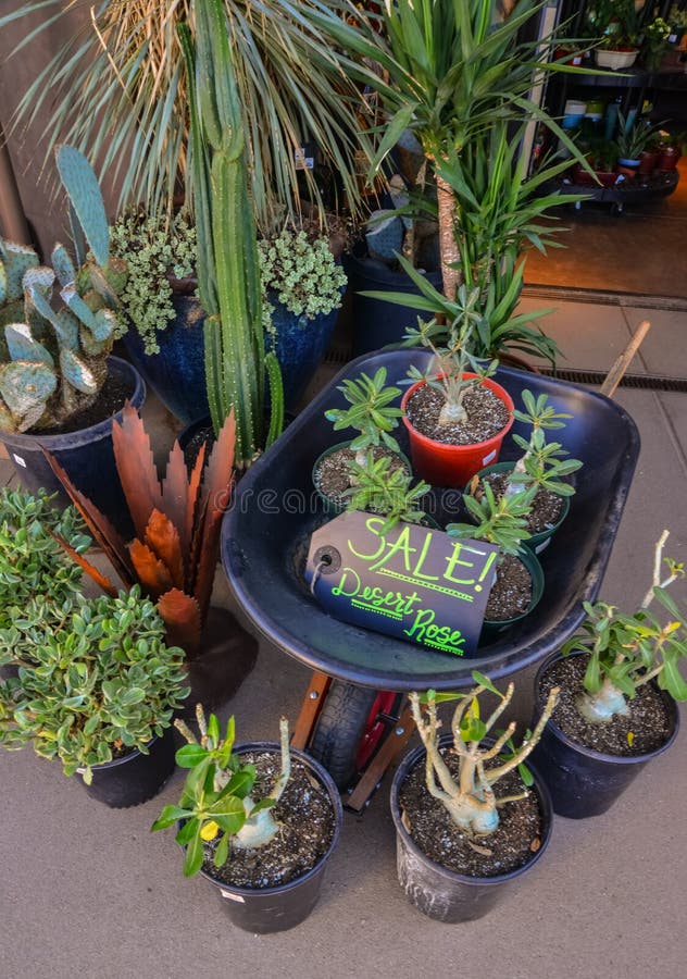 phoenix botanical garden price phoenix botanical garden price