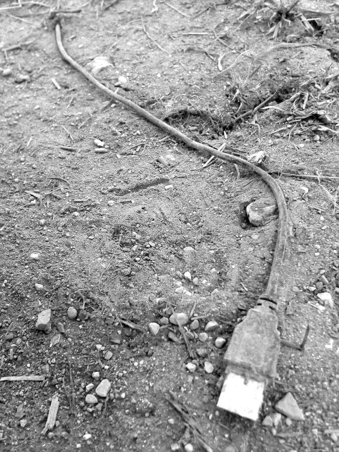USBcable in the ground stock image. Image of data, geology 215521879