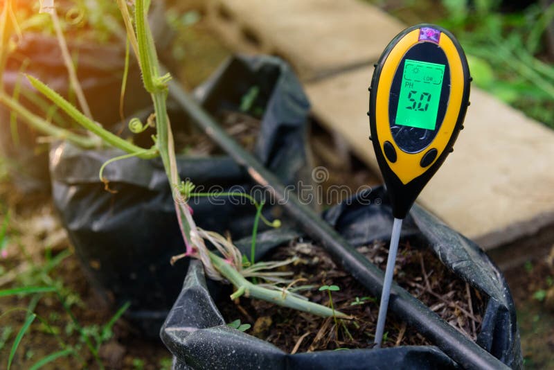 Use soil PH meter for check the PH value with sunlight