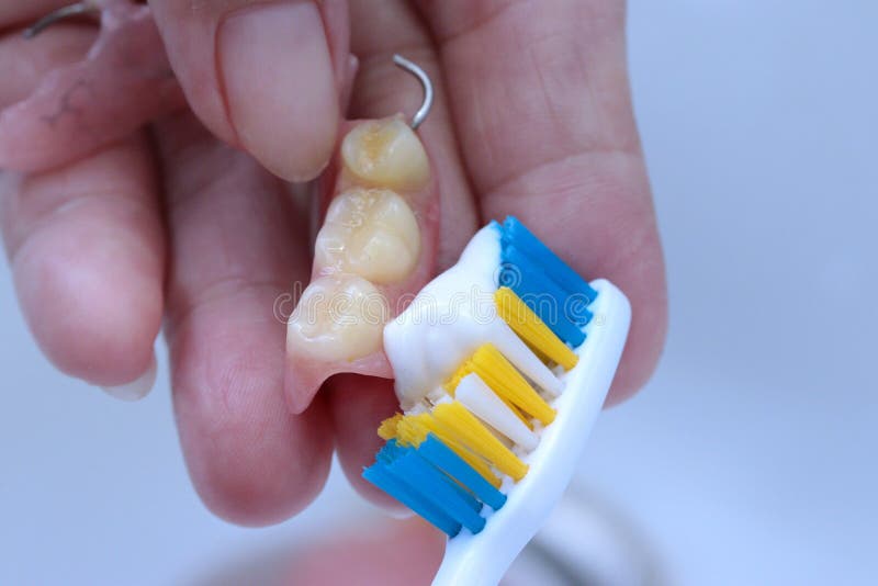 Use a Toothbrush To Clean Teeth Partial Denture Stock Photo Image of