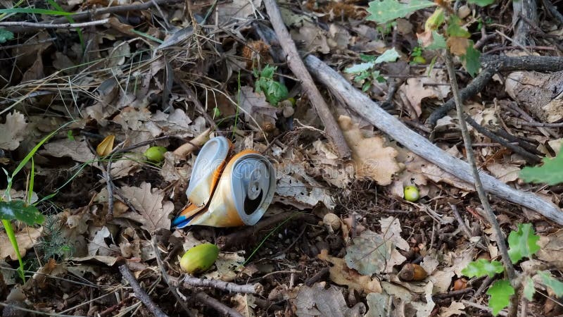 Used Drinks can discarded on forest ground ecosystem,pollution in nature environment stock video