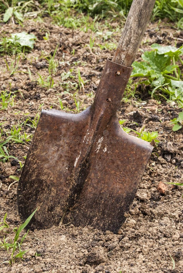 Shovel stuck in manure stock photo. Image of dirt, tool 72570114