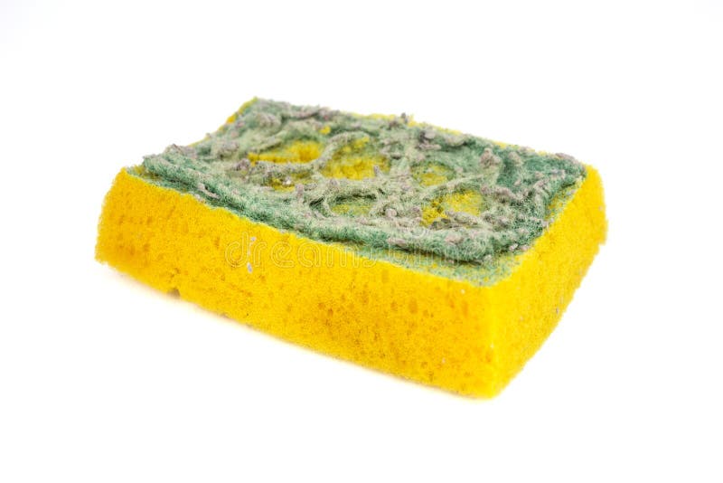 Used sponge for cleaning stock photo. Image of foam, cleaning 66053134