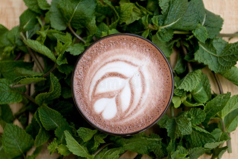 A Useful and Healthy Mint Cocoa in Fragrant Mint Twigs Stock Photo