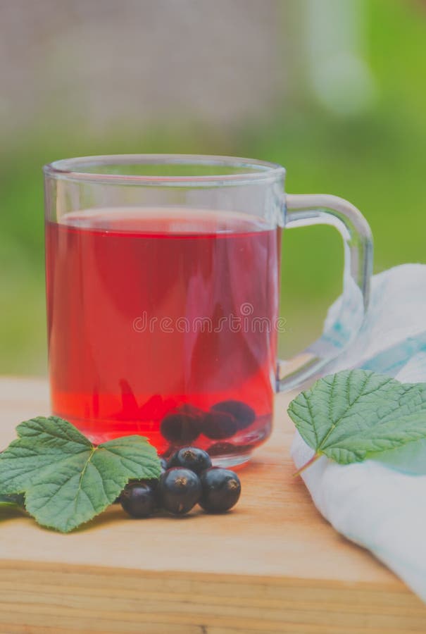 Useful Tea Made from Black Currant. Stock Image Image of medicine