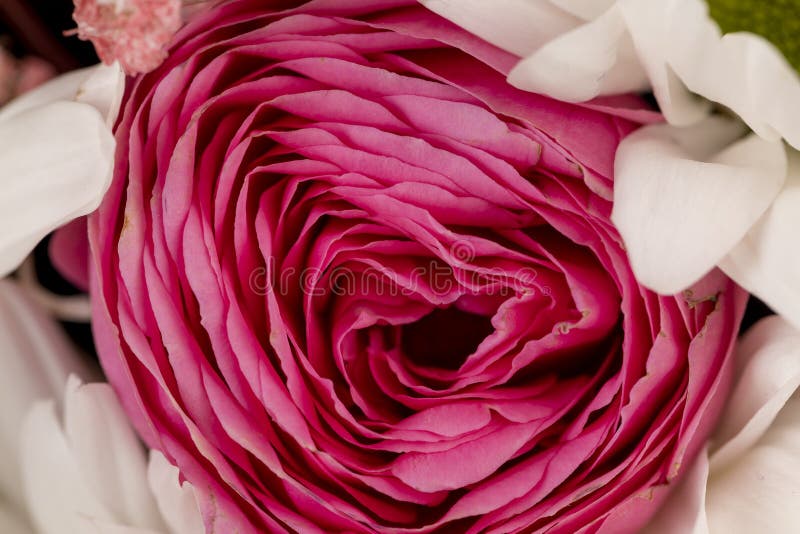 Using Different Types of Flowers To Create a Small Bouquet for a