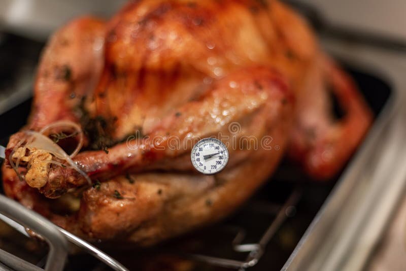 Woman Measuring Temperature of Whole Roasted Turkey with Meat Thermometer  Stock Image - Image of kitchen, gourmet: 149091947