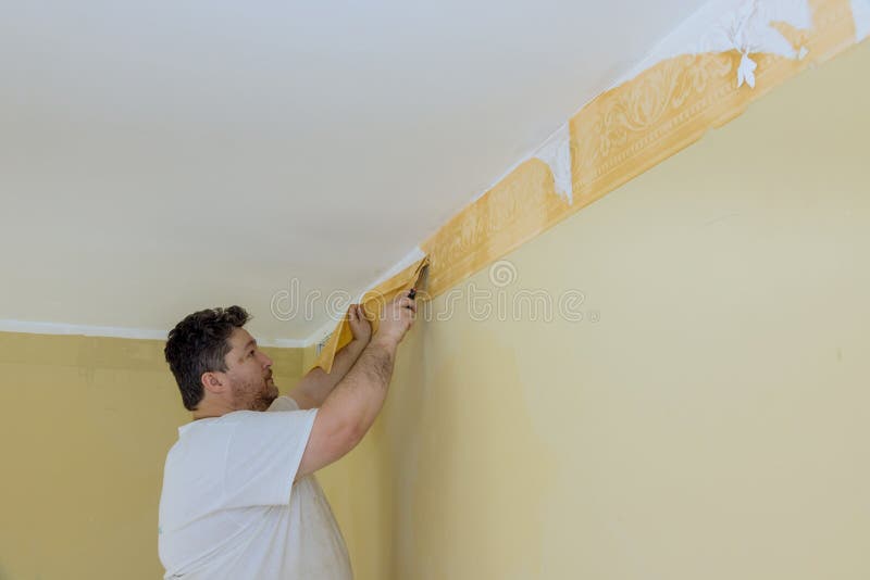 Using a Scraper To Remove a Wallpaper Place Renovation at Home Stock Image  - Image of renovate, removal: 232038599