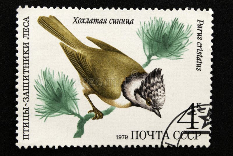 .The USSR postage stamp, Series - Birds - Demonstrators of the Forest, 1979 stock image .The USSR postage stamp, Series - Birds - Demonstrators of the Forest, 1979 stock image