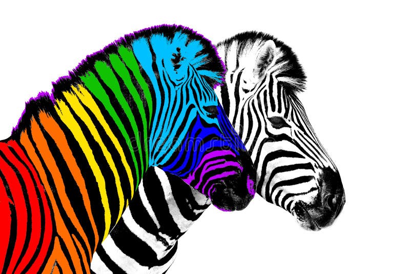 13,906 Rainbow Zebras Images, Stock Photos, 3D objects, & Vectors