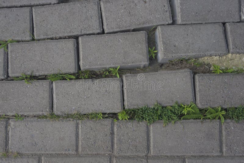 Damaged tiles on the sidewalk. Damaged tiles on the sidewalk