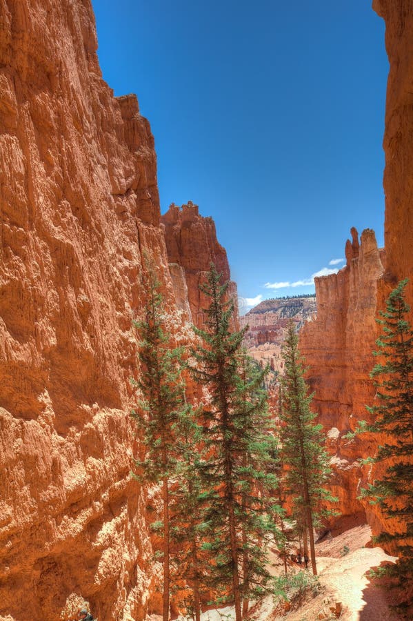 bryce canyon national park utah toursism bryce canyon national park utah toursism