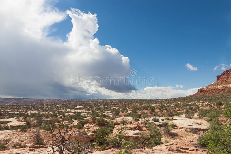 Utah-Canyonlands National Park-Maze District