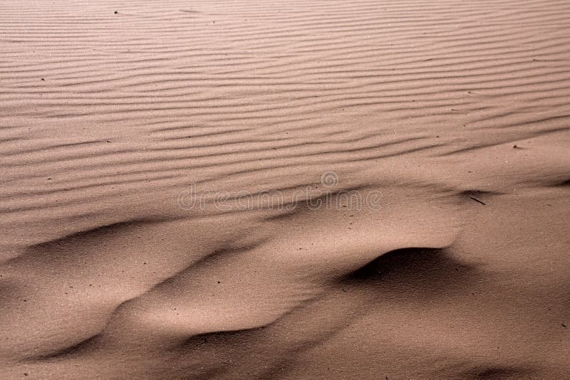 Utah Sand Dunes