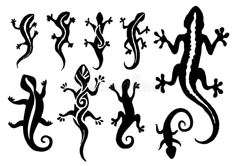 Utdragen illustration för vektorhand av ödlakonturn på vit bakgrund vektor illustrationer Utdragen illustration för vektorhand av ödlakonturn på vit bakgrund vektor illustrationer