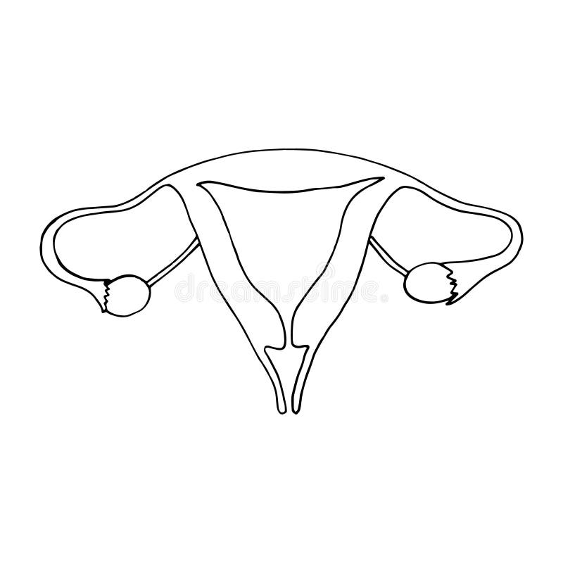 Female uterus icon logo vector illustration template design. 26697479  Vector Art at Vecteezy