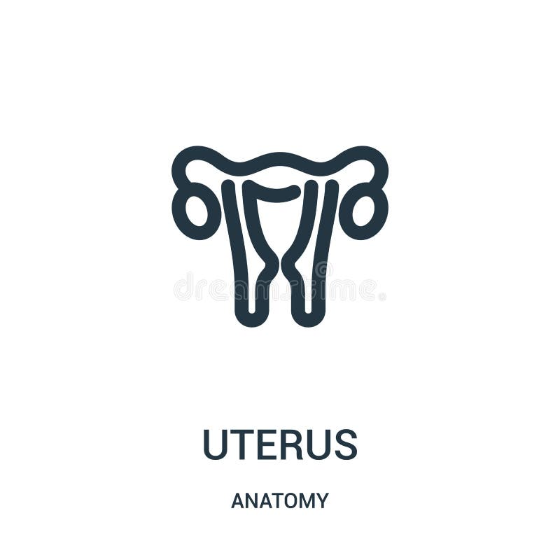 uterus icon vector from anatomy collection. Thin line uterus outline icon vector illustration. Linear symbol for use on web and stock illustration uterus icon vector from anatomy collection. Thin line uterus outline icon vector illustration. Linear symbol for use on web and stock illustration