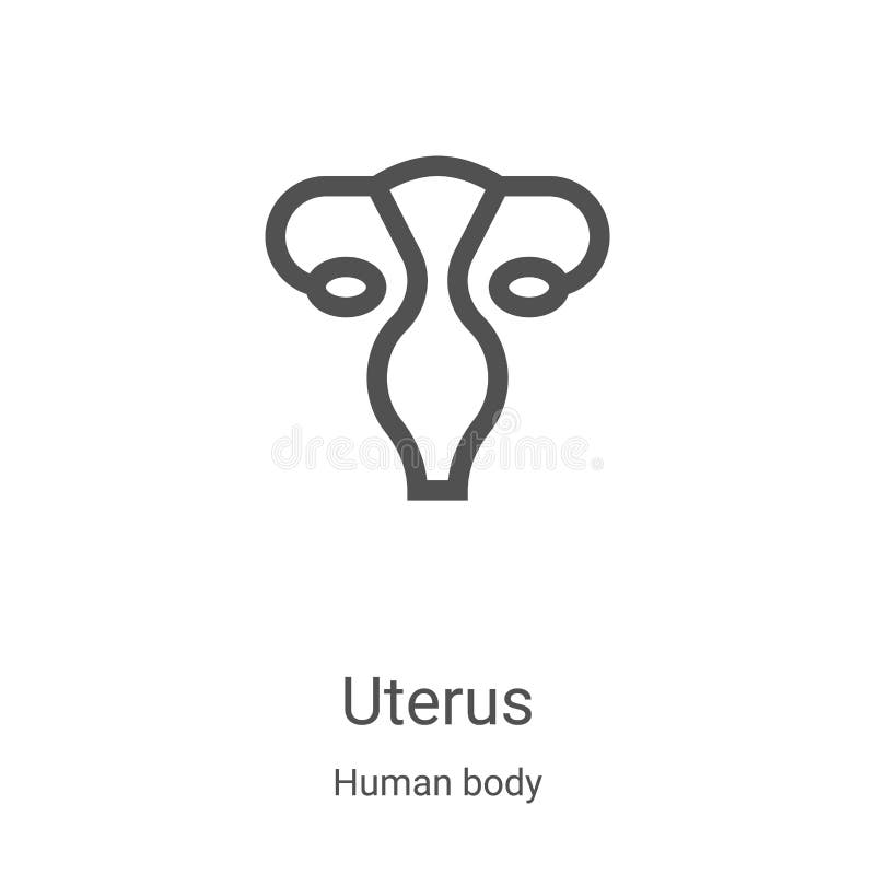 Uterus Icon Vector from Human Body Collection. Thin Line Uterus Outline Icon Vector Illustration