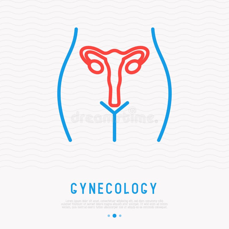 Uterus Thin Line Icon. Modern Vector Illustration Stock Vector Illustration of care, ovaries