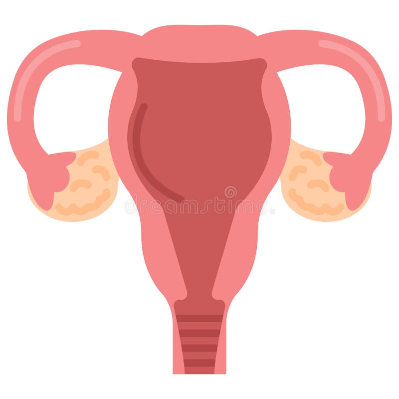 Uterus womb with ovary, cervix, fallopian tubes icon, vector illustration