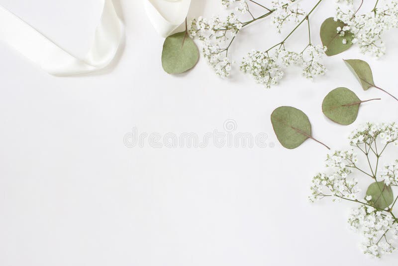 Styled stock photo. Feminine wedding desktop mockup with baby`s breath Gypsophila flowers, dry green eucalyptus leaves, satin ribbon and white background. Empty space, top view. Picture for blog. Styled stock photo. Feminine wedding desktop mockup with baby`s breath Gypsophila flowers, dry green eucalyptus leaves, satin ribbon and white background. Empty space, top view. Picture for blog.